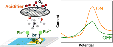 Graphical abstract: Local electrochemical sample acidification for the detection of Pb2+ traces