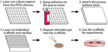 Graphical abstract: Supported gel slab scaffolds as a three-dimensional cell-based assay platform