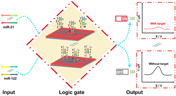 Graphical abstract: An electrochemical biosensor equipped with a logic circuit as a smart automaton for two-miRNA pattern detection