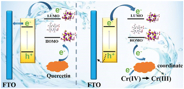Graphical abstract: Photoelectrochemical signal polarity transition mediated by quercetin for the detection of neuron-specific enolase
