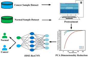 Graphical abstract: An improved cancer diagnosis algorithm for protein mass spectrometry based on PCA and a one-dimensional neural network combining ResNet and SENet