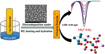 Graphical abstract: Understanding electrocatalytic mechanisms and ultra-trace uranyl detection with Pd nanoparticles electrodeposited in deep eutectic solvents