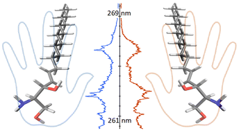 Graphical abstract: Quantification of enantiomers and blind identification of erythro-sphingosine non-racemates by cold ion spectroscopy