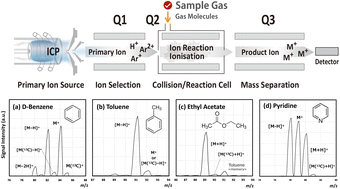 Graphical abstract: Detection of several volatile organic compounds through Ar+ induced chemical ionisation using inductively coupled plasma-tandem mass spectrometry (ICP-MS/MS)