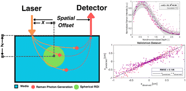 Graphical abstract: Material-agnostic characterization of spatially offset Raman spectroscopy in turbid media via Monte Carlo simulations