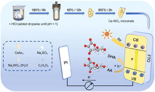 Graphical abstract: A cerium-doped tungsten trioxide-functionalized sensing platform for photoelectrochemical detection of ascorbic acid with high sensitivity