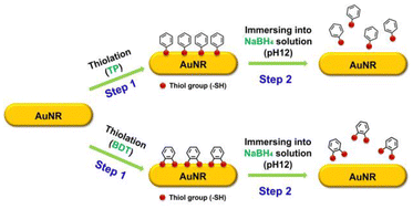 Graphical abstract: Controlling chemical interface damping by removing aromatic monothiol and dithiol groups from gold nanorods using sodium borohydride solution