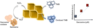 Graphical abstract: Copper nanocubes as low-cost enzyme mimics in a sarcosine-sensing reaction cascade