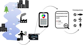 Graphical abstract: A novel in situ method for linear alkylbenzene sulfonate quantification in environmental samples using a digital image-based method