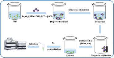 Graphical abstract: Fabrication of a β-CD-functionalized magnetic microporous organic network for effective enrichment and detection of fluoroquinolone antibiotics in water samples