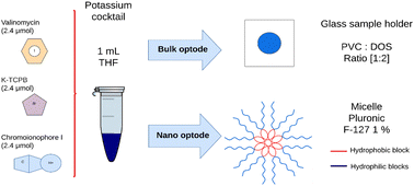 Graphical abstract: Comparative analysis of a bulk optode based on a valinomycin ionophore and a nano-optode in micelles with pluronic F-127 for the quantification of potassium in aqueous solutions