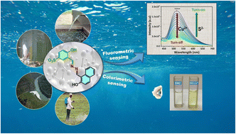 Graphical abstract: Chelation therapy-inspired design of a water-stable fluorescent probe for the effectual monitoring of copper(ii) ions in real water