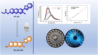 Graphical abstract: A new fluorescent probe with high selectivity and sensitivity for Cys detection in bovine serum