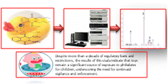 Graphical abstract: Phthalate content in toy samples available on the market of the Republic of Serbia