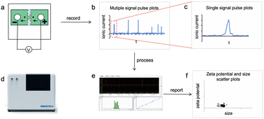 Graphical abstract: Quality and efficiency assessment of five extracellular vesicle isolation methods using the resistive pulse sensing strategy