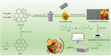 Graphical abstract: Efficient detection of carbendazim using an electrochemical sensor for a novel NiFeLDH@HsGY-NH2/MWCNTs heterostructure with lattice-strain
