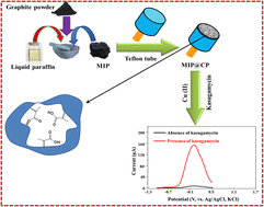 Graphical abstract: Molecular imprinting technology for electrochemical sensing of kasugamycin in food products based on Cu2+/Cu+ stripping current