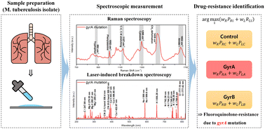 Graphical abstract: Identification of fluoroquinolone-resistant Mycobacterium tuberculosis through high-level data fusion of Raman and laser-induced breakdown spectroscopy