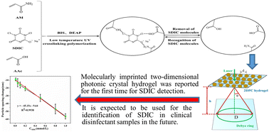 Graphical abstract: Molecularly imprinted 2D photonic crystal hydrogel sensor for sodium dichloroisocyanurate