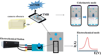 Graphical abstract: A dual-mode homogeneous electrochemical-colorimetric biosensing sensor for carcinoembryonic antigen detection based on a microfluidic paper-based analysis device
