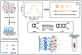 Graphical abstract: Colorimetric aptasensors for sensitive low-density lipoprotein detection based on reduced oxide graphene@molybdenum disulfide-ferrocene nanosheets with peroxidase-like activity