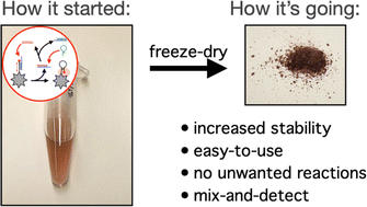 Graphical abstract: Lyophilizing SERS biosensors to enable translation into an easy-to-use assay