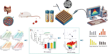 Graphical abstract: Early colorectal cancer detection: a serum analysis platform combining SERS and machine learning
