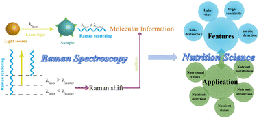 Graphical abstract: Novel analysis based on Raman spectroscopy in nutrition science