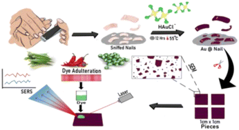 Graphical abstract: Sustainable synthesis of truncated Au-sensors embedded within robust snipped human nails to monitor dye adulteration in real food samples