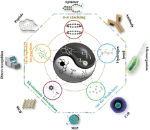 Graphical abstract: Rapid antibiotic biosensors based on multiple molecular recognition elements