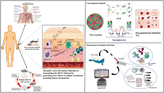 Graphical abstract: Critical analysis of advanced nanosensors for dengue detection