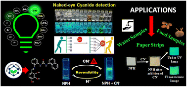 Graphical abstract: A urea-based polyphenol receptor demonstrates colorimetric and fluorometric detection of cyanide in real-life applications