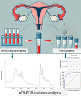Graphical abstract: Evaluating the effectiveness of whole blood plasma versus protein precipitates in ovarian cancer detection through infrared spectroscopy