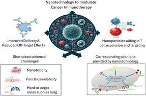 Graphical abstract: Programmable bionanomaterials for revolutionizing cancer immunotherapy