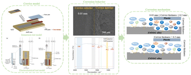 Graphical abstract: Crevice corrosion behavior of a biodegradable Zn–Mn–Mg alloy in simulated body fluid