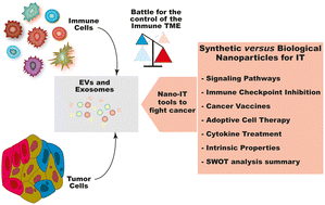 Graphical abstract: Synthetic and biological nanoparticles for cancer immunotherapy
