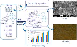 Graphical abstract: Enhanced wound healing with biogenic zinc oxide nanoparticle-incorporated carboxymethyl cellulose/polyvinylpyrrolidone nanocomposite hydrogels