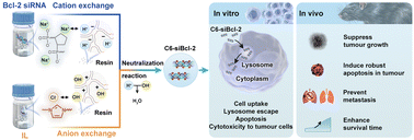Graphical abstract: An ionic liquid-based delivery system of small interfering RNA targeting Bcl-2 for melanoma therapy