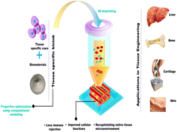 Graphical abstract: Engineering considerations in the design of tissue specific bioink for 3D bioprinting applications