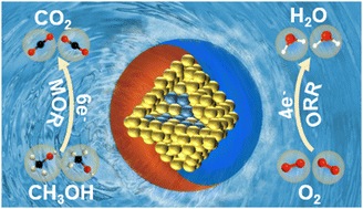 Graphical abstract: PtCu/Pt core/atomic-layer shell hollow octahedra for oxygen reduction and methanol oxidation electrocatalysis