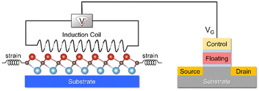 Graphical abstract: Janus MXene nanosheets with a strain-induced reversible magnetic state transition for storing information without electricity