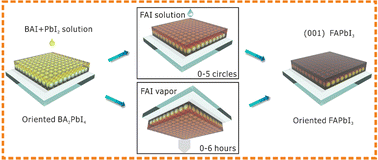 Graphical abstract: Building (001) oriented FAPbI3 films for high-performing perovskite solar cells