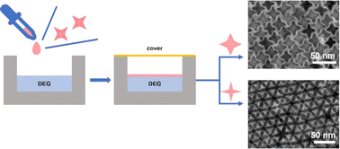 Graphical abstract: Controllable synthesis of star-shaped FeCoMnOx nanocrystals and their self-assembly into superlattices with low-packing densities