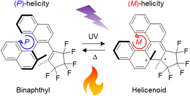 Graphical abstract: A chiral photoswitch based on enantiospecific interconversion between binaphthyl and helicenoid skeletons