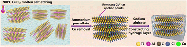 Graphical abstract: F-free etching and ingenious construction of hydrogel layer-prepared MXene membranes for oily wastewater separation