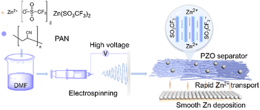 Graphical abstract: A zincophilic separator with directional alignment and pore hydrophilicity towards stable aqueous zinc metal batteries