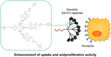 Graphical abstract: Multivalent dendritic DNA aptamer molecules for the enhancement of therapeutic effects