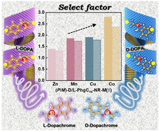 Graphical abstract: Phenylglycine amphiphile-metal ion chiral supramolecular nanozymes for enantioselective catalysis