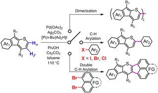 Graphical abstract: C–H arylation of thiopyran derivatives with aryl halides