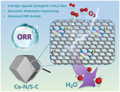 Graphical abstract: Sulfur-bridge ligands altering the microenvironment of single-atom CoN3S sites to boost the oxygen reduction reaction